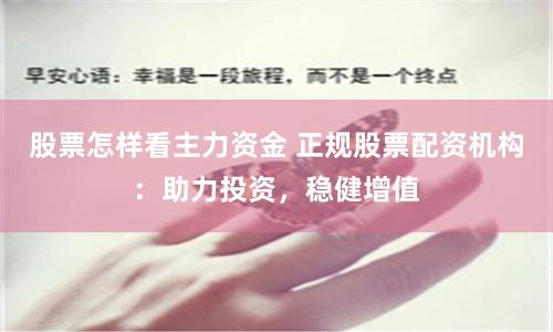 股票怎样看主力资金 正规股票配资机构：助力投资，稳健增值
