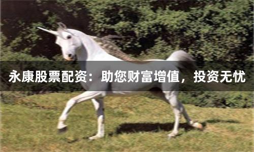 永康股票配资：助您财富增值，投资无忧